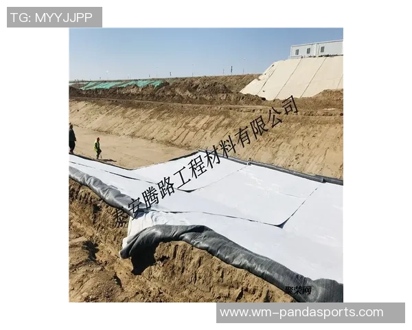 塔拉纳基发电机与南部鲨鱼的激烈对决精彩回顾与分析