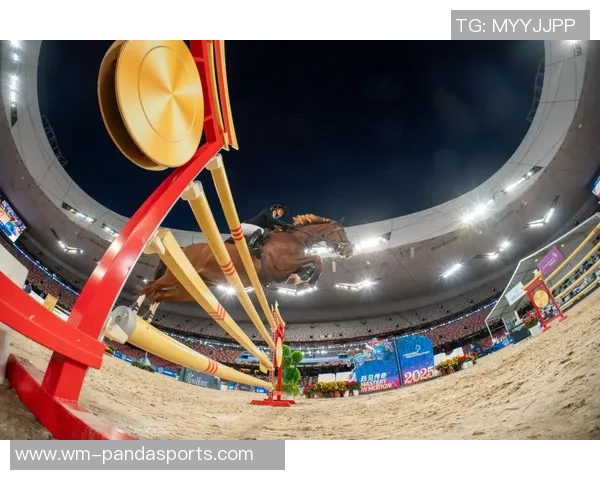 接棒“星光表演季” 2025“鸟巢燃情体育季”升温来袭